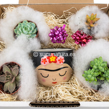 Load image into Gallery viewer, Caja Regalo - Sucunatura. Plantas crassulas como echeveria, kalanchoe, sedum, sempervivum, graptoveria y aeonium.
