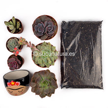 Load image into Gallery viewer, Kit Frida Kahlo - Sucunatura. Plantas crassulas como echeveria, kalanchoe, sedum, sempervivum, graptoveria y aeonium.
