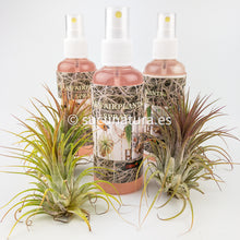 Load image into Gallery viewer, Tillandsia care spray 125 ml - Sucunatura. Plantas crassulas como echeveria, kalanchoe, sedum, sempervivum, graptoveria y aeonium.
